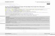 A Practical, Clinical User Friendly Format for Breast Ultrasound Report