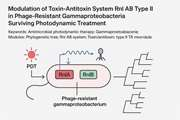 Modulation of Toxin-Antitoxin System Rnl AB Type II in Phage-Resistant Gammaproteobacteria Surviving Photodynamic Treatment